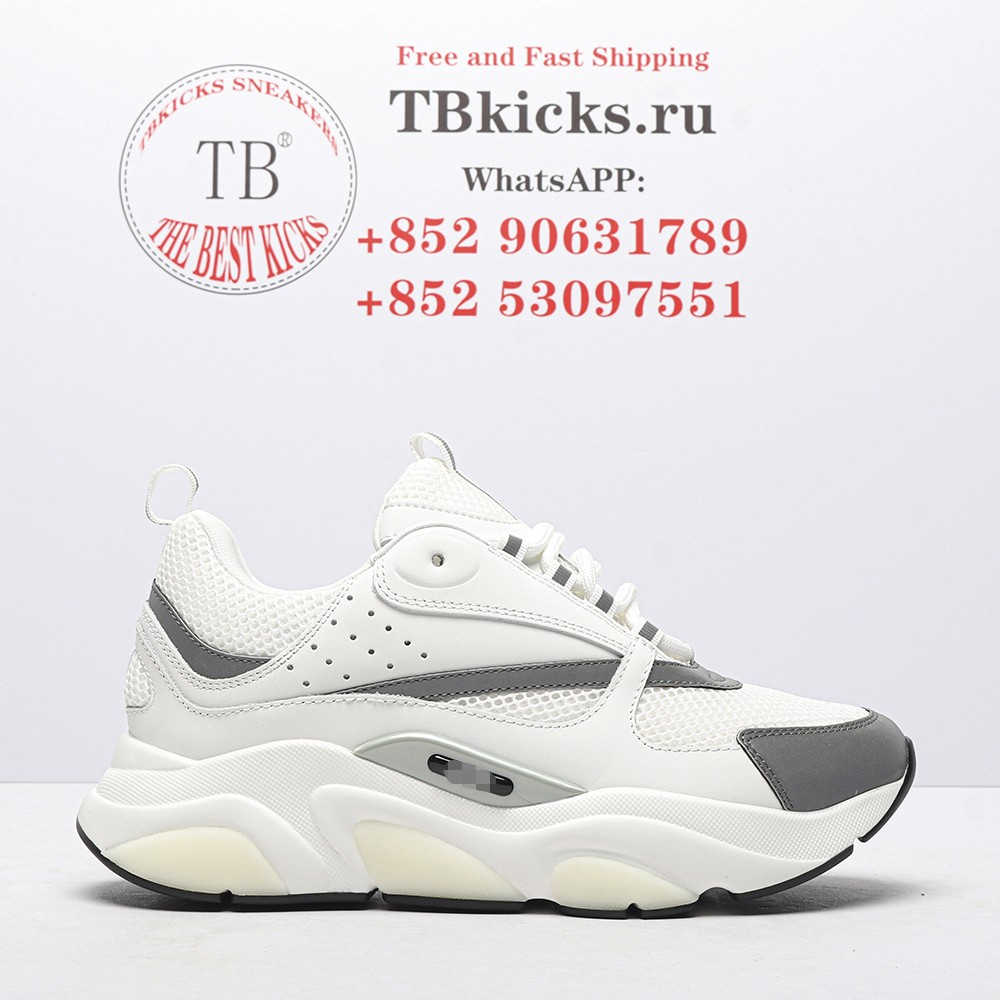 TBkicks D10R B22 White Silver